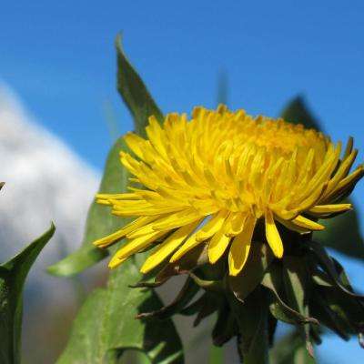 万博max官方入口